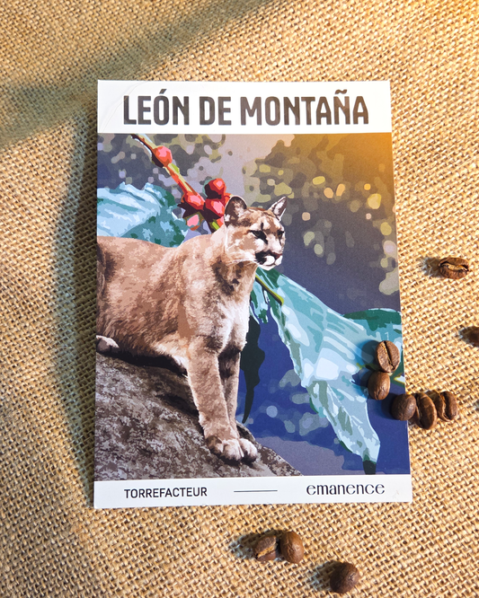 Café León de Montaña