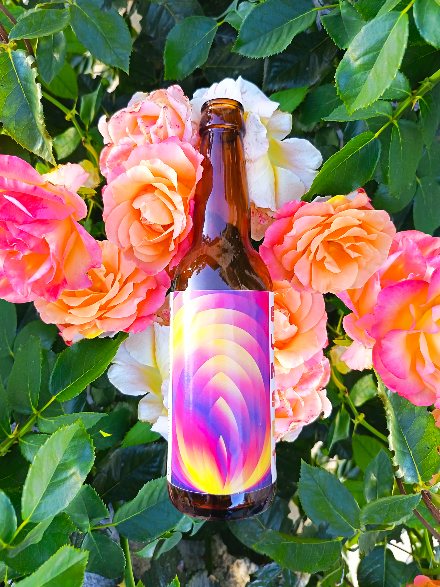 Cold Brew Sunset