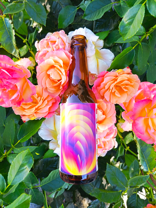 Cold Brew Sunset